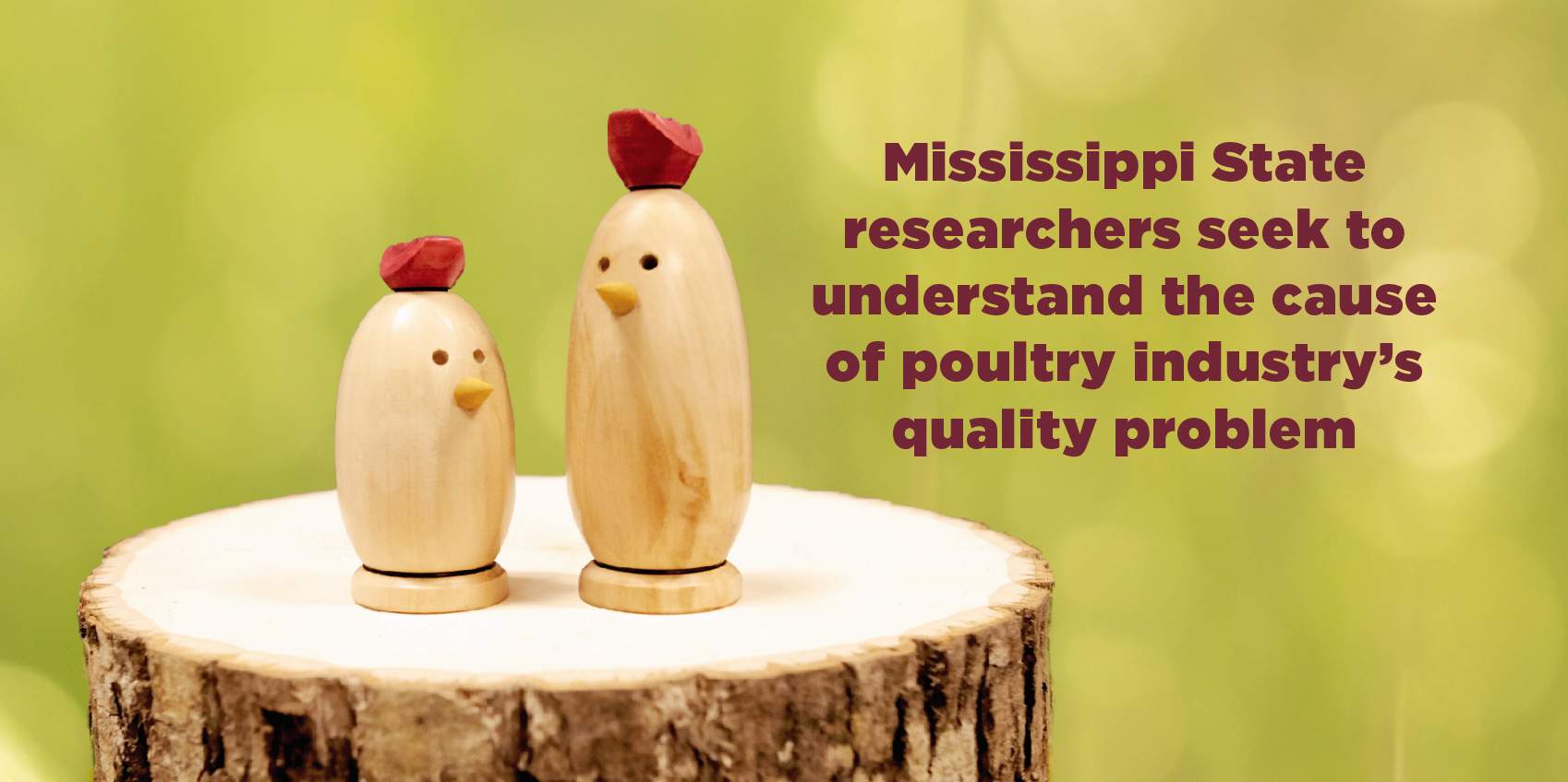 Mississippi state researchers seek to understand the industry's cause of quality's problem.