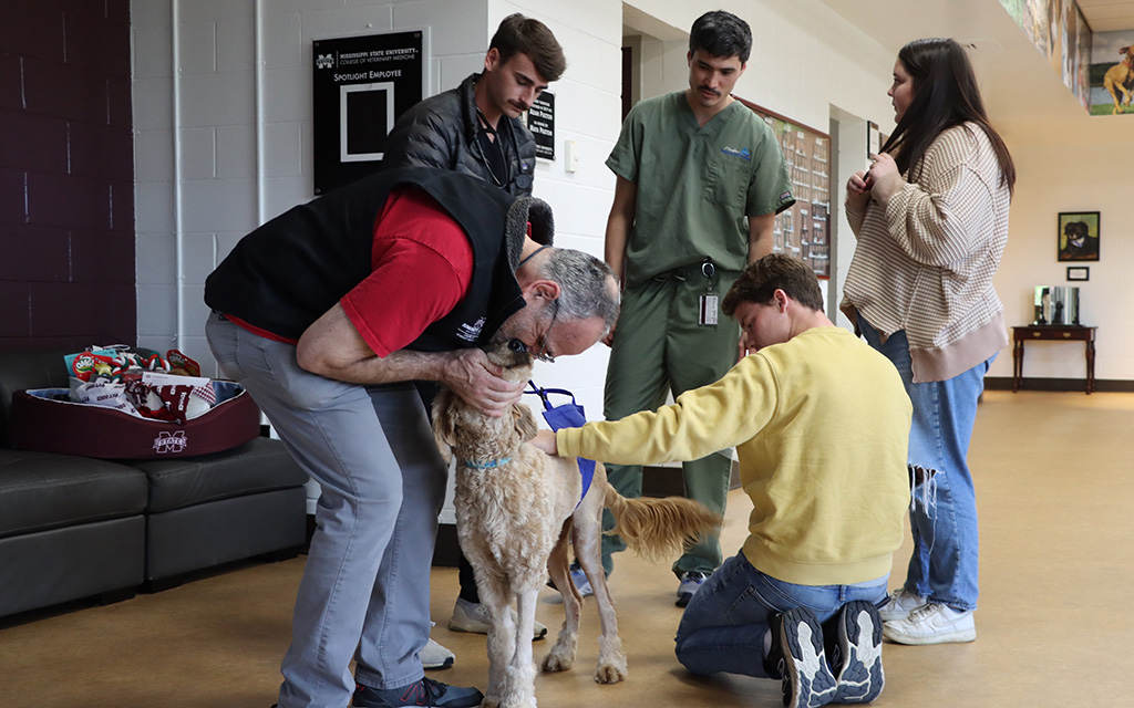 Five people interact with a golden retriever indoors. Two kneel to pet the dog while others stand nearby watching. A basket sits on the floor in the background.