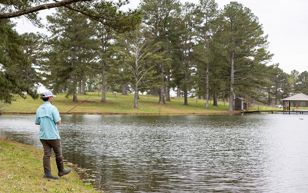 Person in a blue shirt and cap fishing at the edge of a lake, surrounded by trees, with a dock visible in the background.