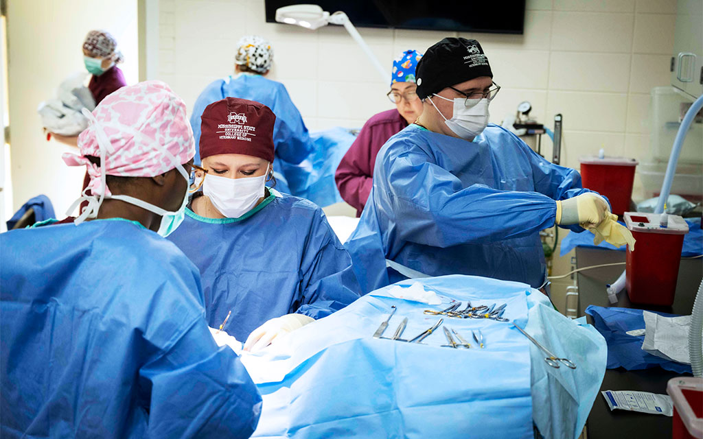 A team of medical professionals in surgical gowns and masks performing an operation in a brightly lit operating room with instruments on the table.