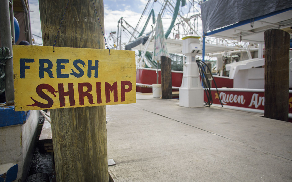 A yellow wooden sign reading “Fresh Shrimp” hangs on a post at a dock with boats and fishing equipment in the background.