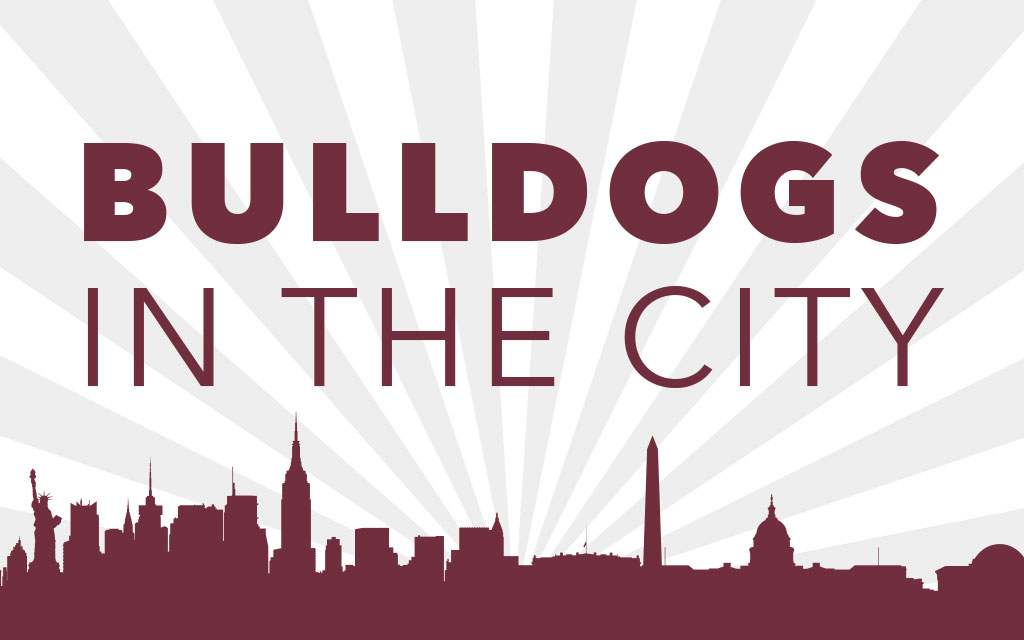 Bulldog in the City